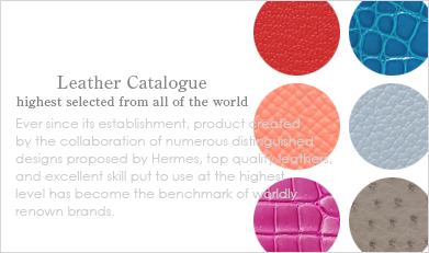 Hermes Leather Catalogue