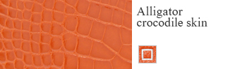 Alligator crocodile skin