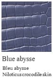 Blue abysse