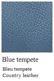 Blue tempete