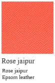 Rose jaipur