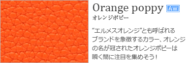 Orange poppy　オレンジポピー